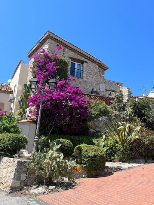 Strelizia - New Central Old Antibes For 4 Ac Екстер'єр фото